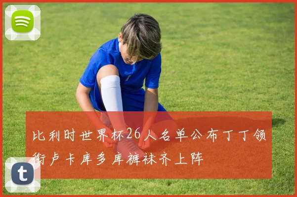 比利时世界杯26人名单公布丁丁领衔卢卡库多库裤袜齐上阵