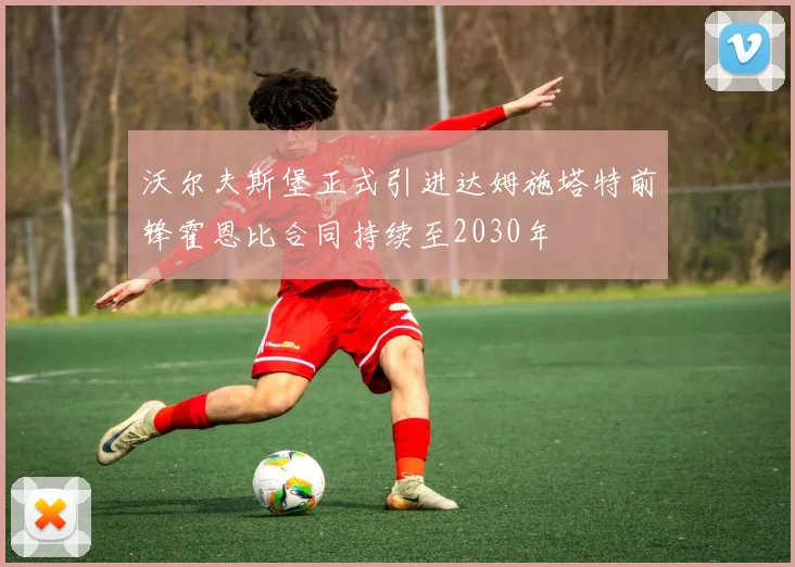 沃尔夫斯堡正式引进达姆施塔特前锋霍恩比合同持续至2030年